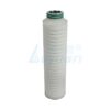 0.2 μm 5 inch PES membrane pleated cartridge filters manufacturer 0.2 μm 5 inch PES membrane pleated cartridge filters manufacturer