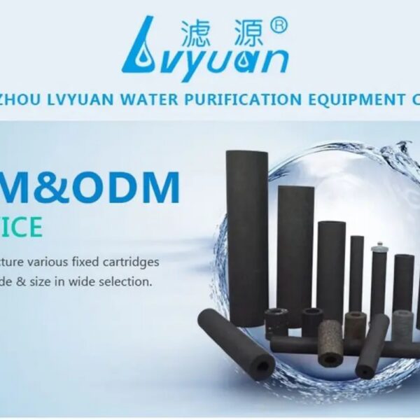 Professional Sintered Cartridge Filter