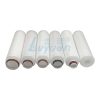 Industrial Pleated Filter Cartridge (6) Industrial Pleated Filter Cartridge (6)